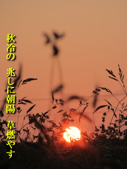 音声ガイド・・・高島市