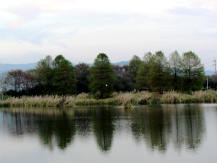 神無月で初日・・・何気ない風景