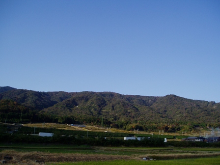 11月１１日・・今日の風景