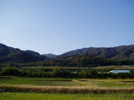 11月１１日・・今日の風景