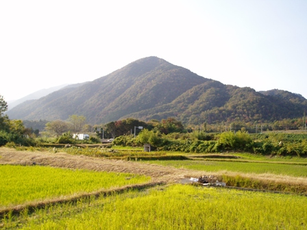 11月１１日・・今日の風景
