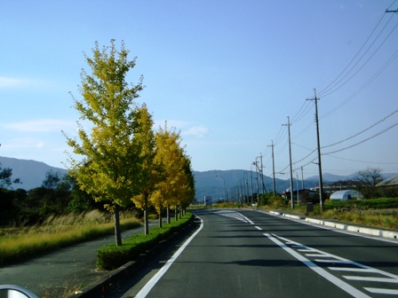 11月１１日・・今日の風景