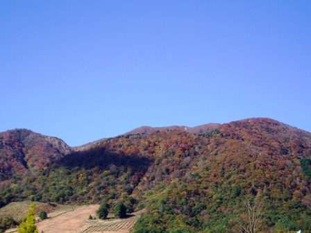 11月１１日・・今日の風景