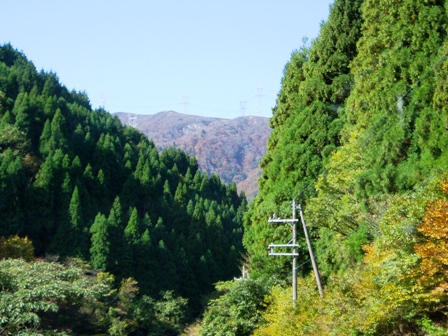 11月１１日・・今日の風景