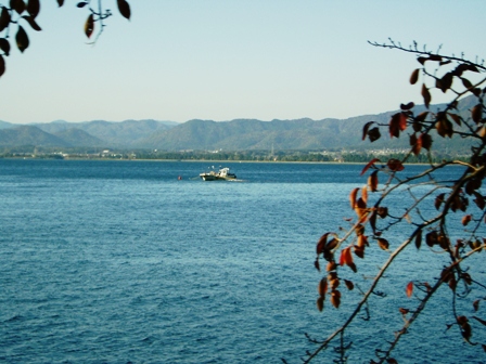 11月１１日・・今日の風景