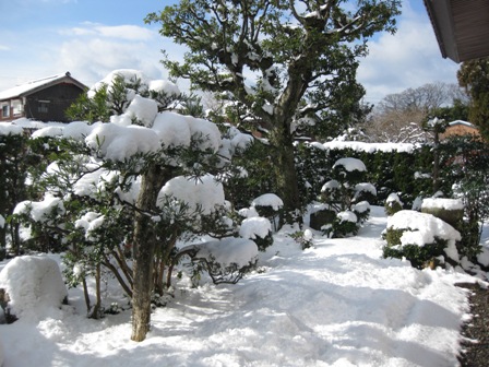 歳旦祭・・雪