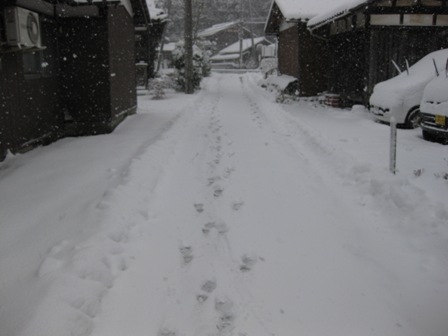 歳旦祭・・雪