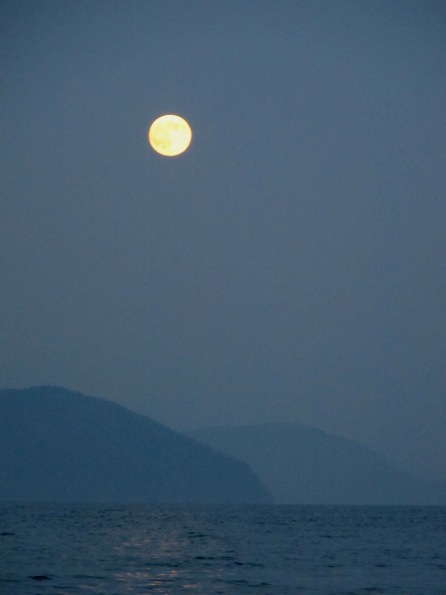 秋の夕月と栗ごはん