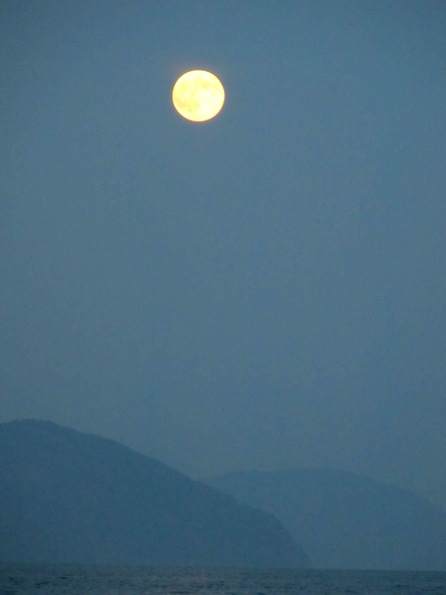 秋の夕月と栗ごはん