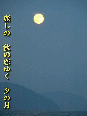 音声ガイド・・・高島市