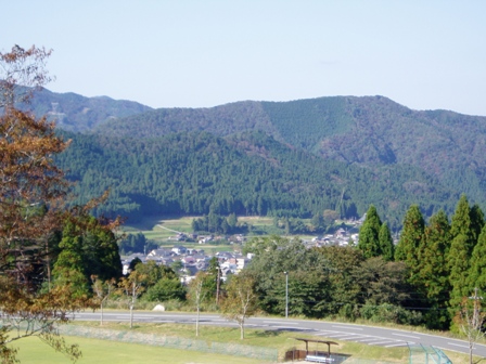水鳥みながら・・高島市風景。