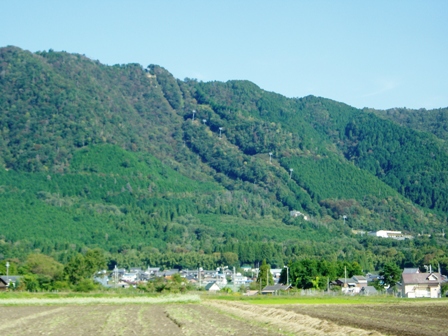 水鳥みながら・・高島市風景。