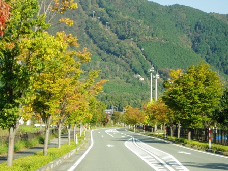 水鳥みながら・・高島市風景。