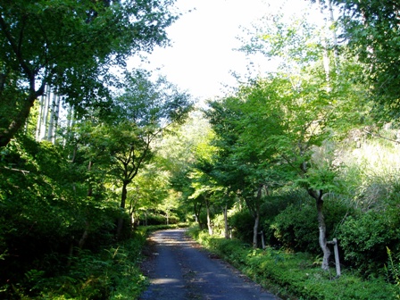 水鳥みながら・・高島市風景。