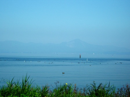 風景それぞれ・・と、朽木池の沢庭園