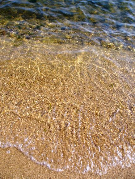 風景それぞれ・・と、朽木池の沢庭園