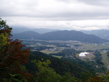 ミゾソバ・・・と、今日の高島市内