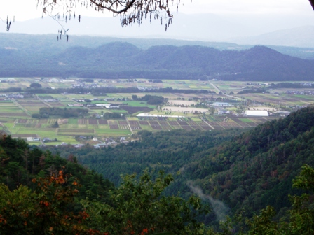 ミゾソバ・・・と、今日の高島市内