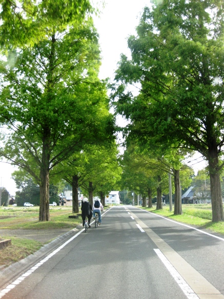 秋色彩は身近な場所で・・・