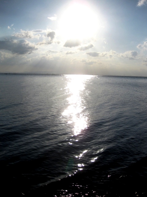 琵琶湖へ朝の光