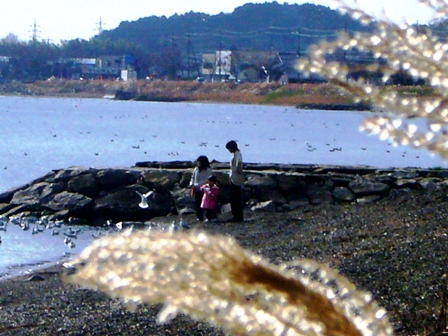 お家の中・・私の心の中