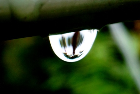秋雨で高島市風景の日曜日