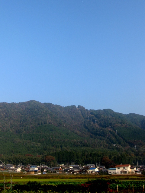 お早うございます。朝の風景から