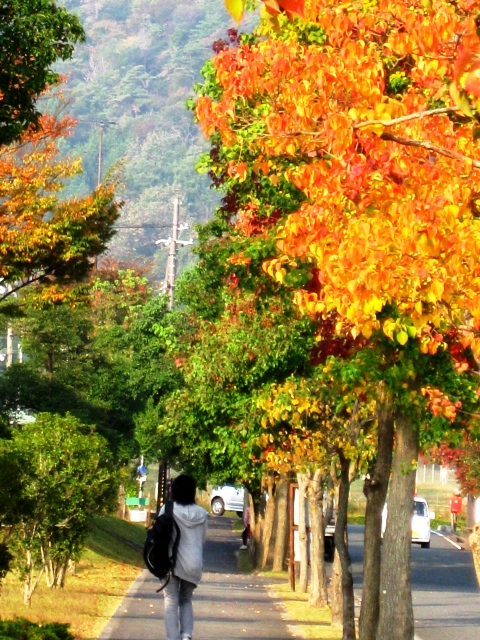 お早うございます。朝の風景から