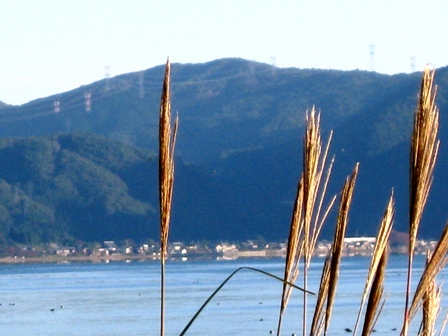 高島名物？・・しぐれと虹