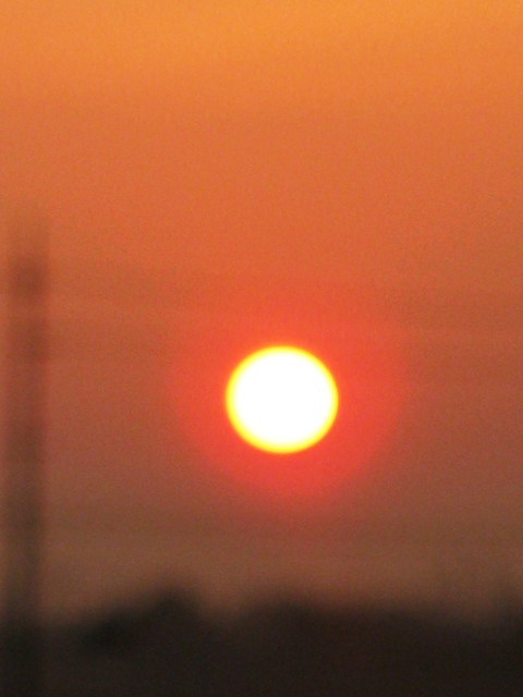 今日も朝にお日様