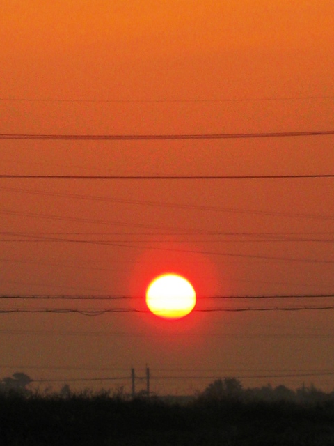 今日も朝にお日様