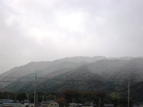 白鳥で白、お山に白