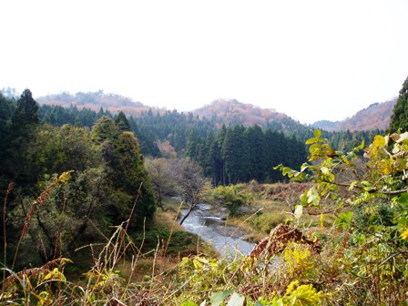 高島市の山裾は、冬支度・・・今日