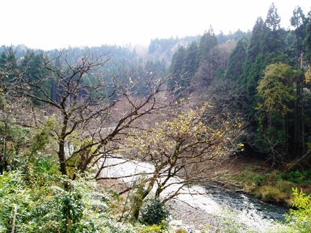 高島市の山裾は、冬支度・・・今日