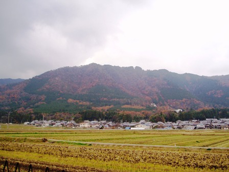 高島市の山裾は、冬支度・・・今日