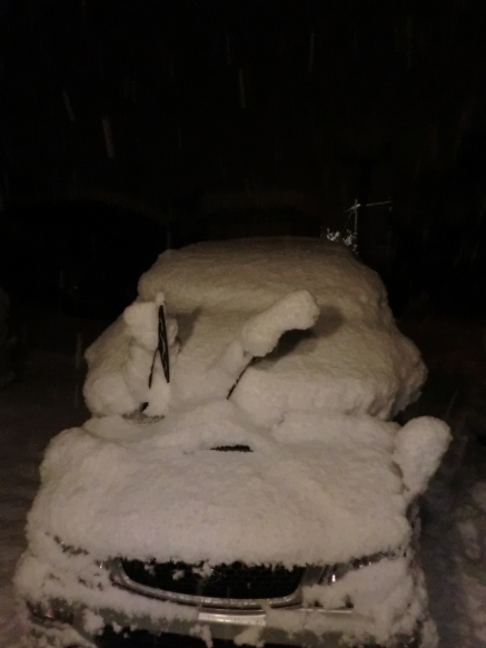 １月月末・・やはり積雪しました