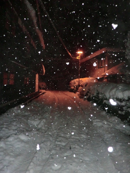 １月月末・・やはり積雪しました