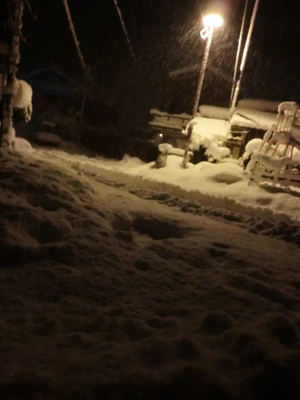 １月月末・・やはり積雪しました