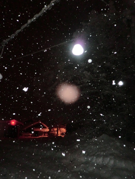 １月月末・・やはり積雪しました