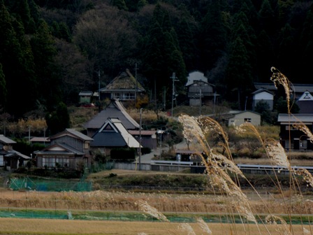 里山も・・湖岸も冬を待つ