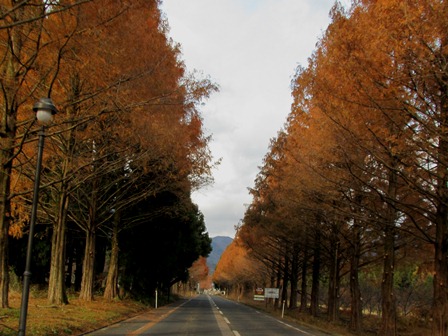 今朝の風景・・マキノ＆新旭町