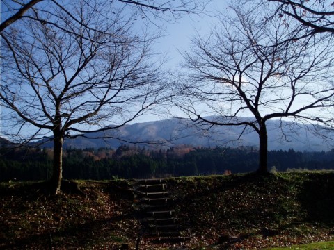 １２月１１日の高島市風景・・それぞれ