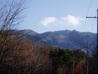 １２月１１日の高島市風景・・それぞれ