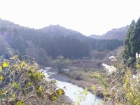１２月１１日の高島市風景・・それぞれ