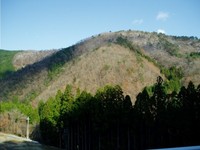 １２月１１日の高島市風景・・それぞれ