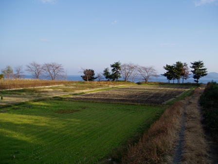 漢字は絆、淡い朝の琵琶湖・・夕方の虹