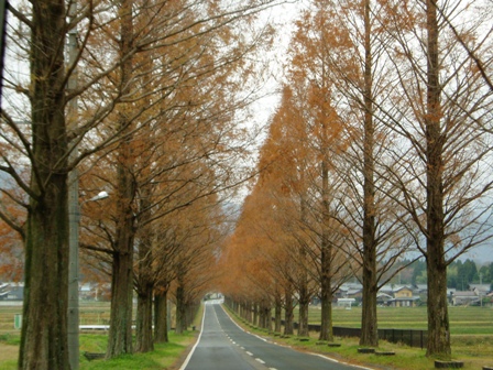 漢字は絆、淡い朝の琵琶湖・・夕方の虹