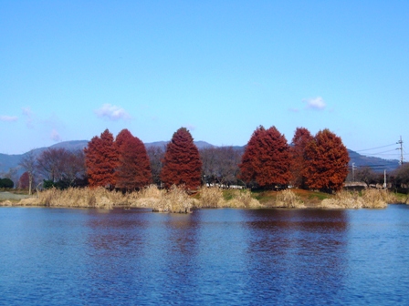 快晴、冬将軍ってどこ？