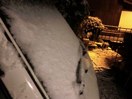 積もり始めました・・雪