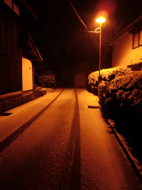 積もり始めました・・雪